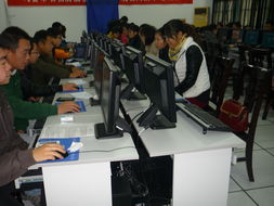 茅山鎮計算機信息高新技術培訓考試圓滿落幕，數字技能賦能鄉村振興新篇章